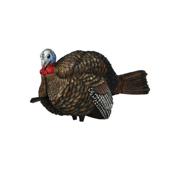 [149727] 1/2 STRUT JAKE,TURKEY DEC