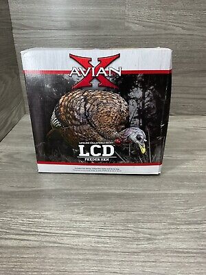 [155864] DINDE TURKEY FEEDER HEN DECOY