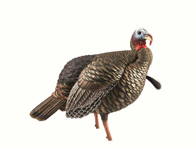 [173926] HDR JAKE DECOY