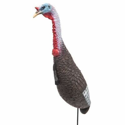 [173288] FUNKY CHICKEN APPELANT DE DINDON