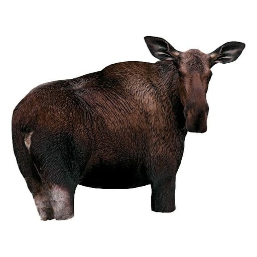 [169006] MONTANA DECOY ORIGNAL