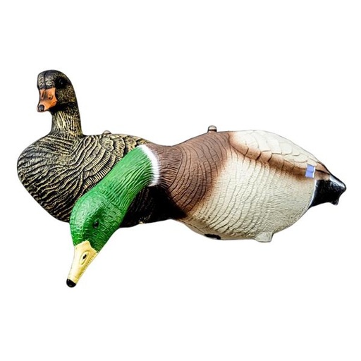 [166595] APPELANT CANARD MALLARD